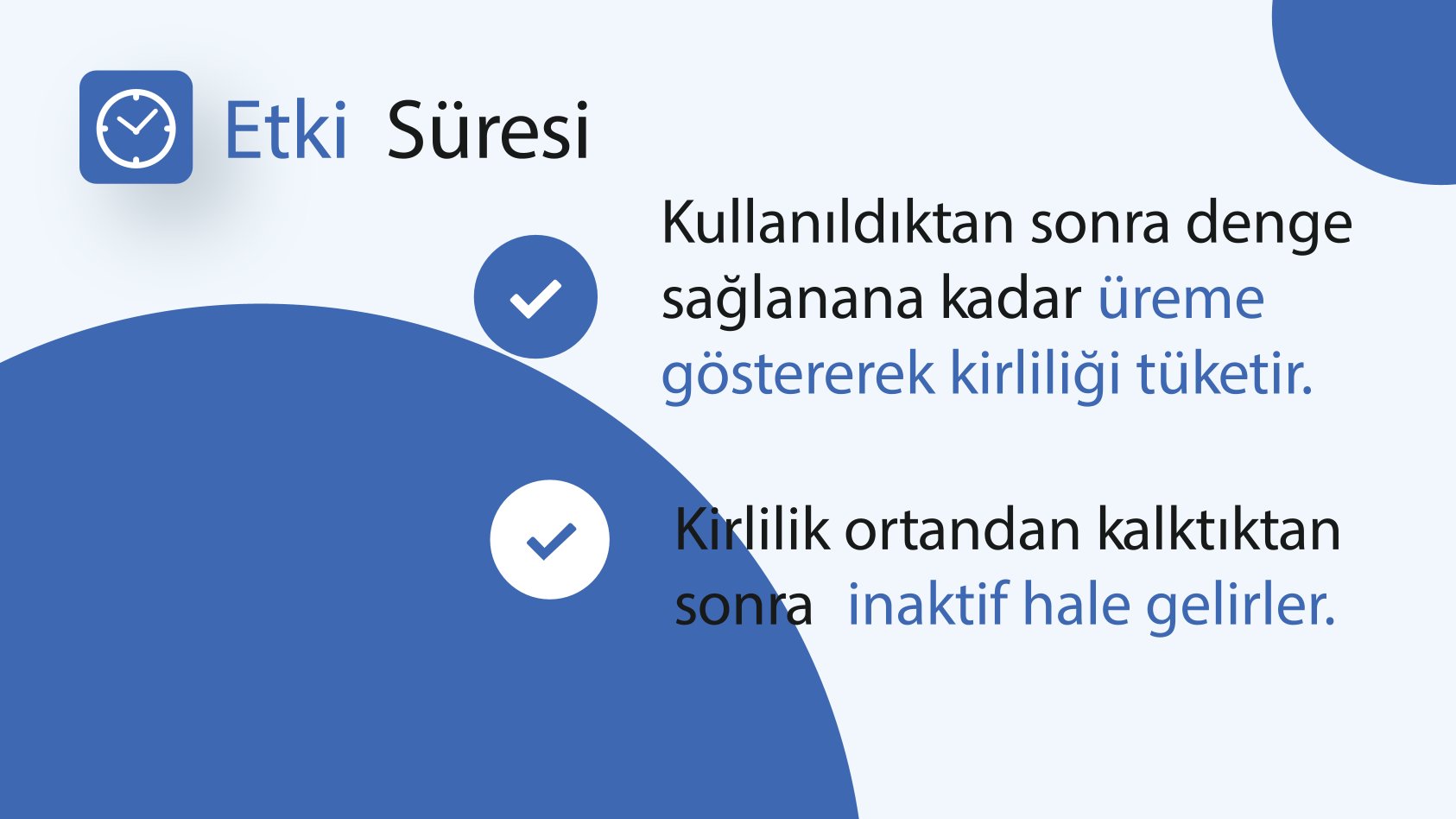 Deniz Salyası Sunumu 7